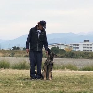 いよいよ警察犬の試験です